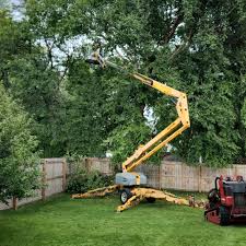 Best Seasonal Cleanup (Spring/Fall)  in Lake Winnebago, MO