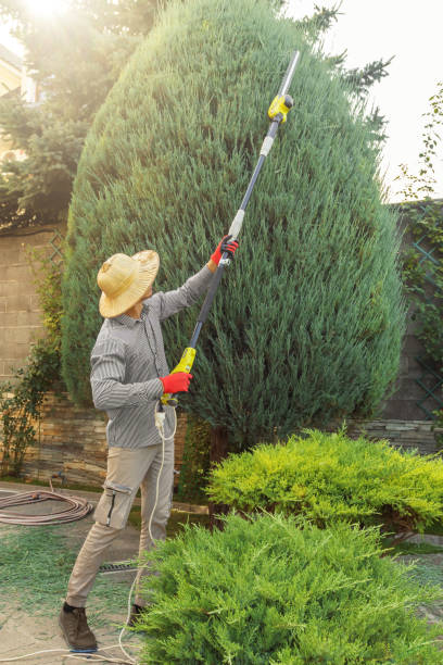 Best Lawn Pest Prevention  in Lake Winnebago, MO